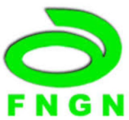 Contribution of NGOs and associations to development: 175 billion FCFA invested