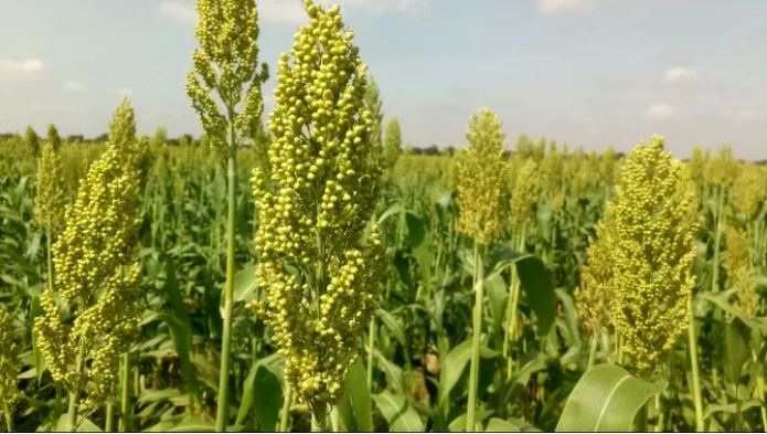 Food sovereignty: a significant increase in the budget requested for 2024
